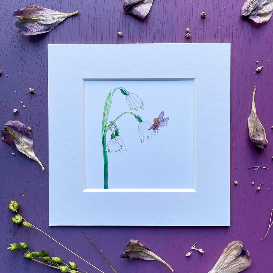LIMITED EDITION 'Snowdrop Fairy' 5" x 5" Mounted Print