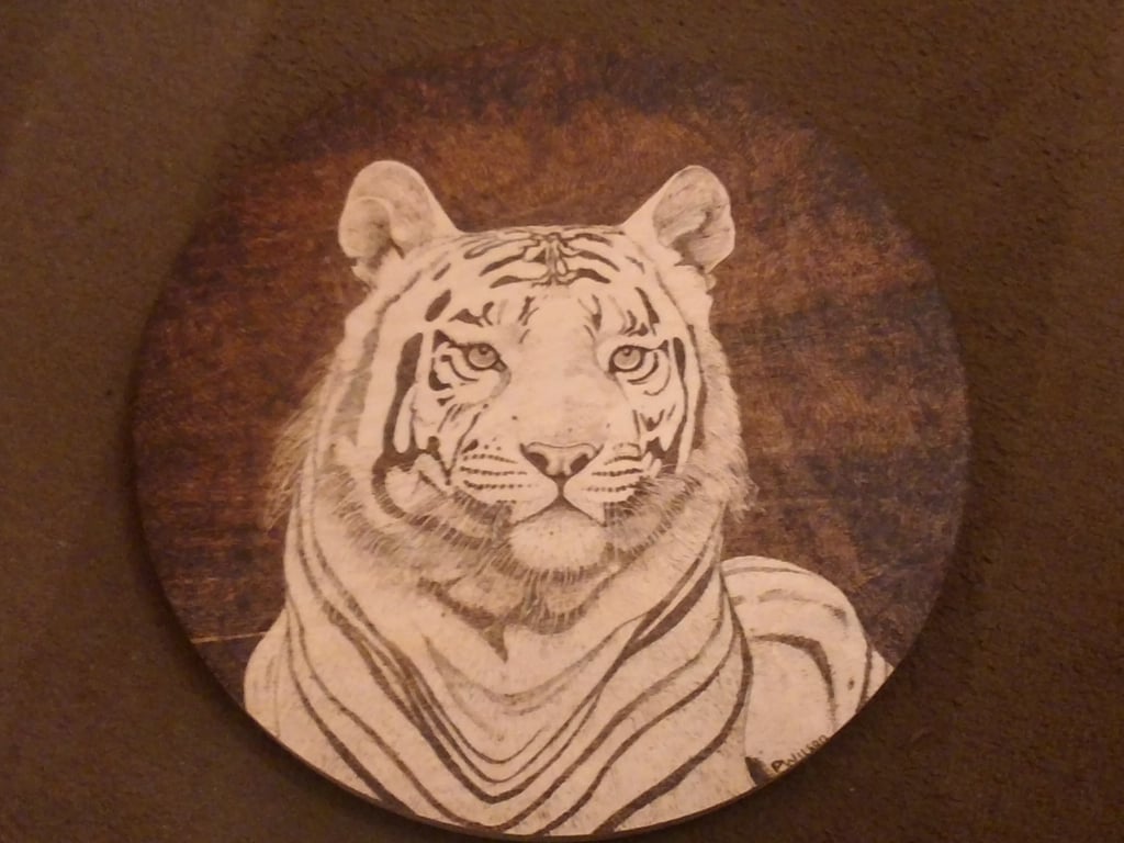 Paul,s Pyrography Art