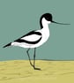 Avocet - bird print - coastal - Image 2