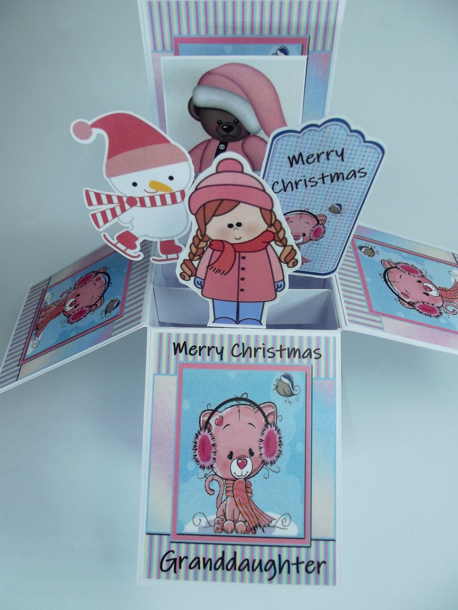 Granddaughter Christmas Card