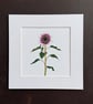 'Pink Sunflower' 8" x 8" Mounted Print