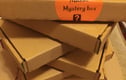 MYSTERY BOXES OF HAND SEWN WOOL BLEND FELT MAKES 