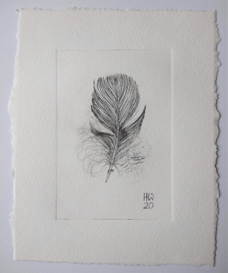 Feather Dry-point Print