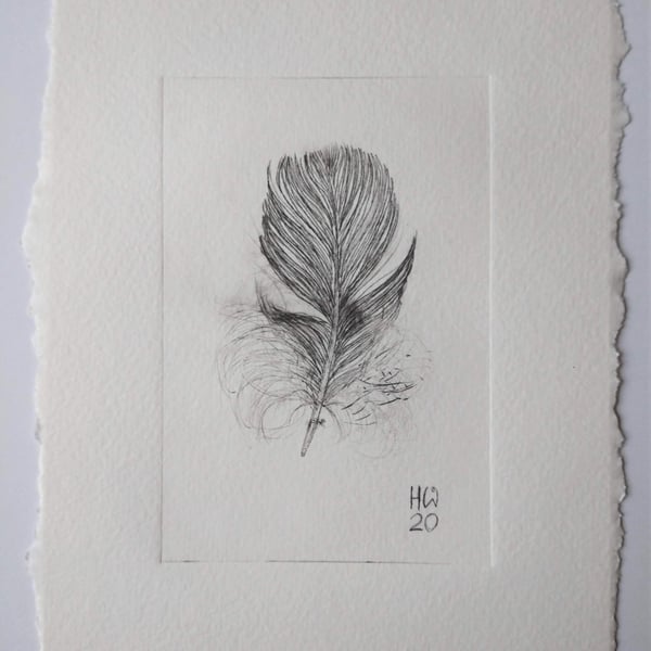 Feather Dry-point Print