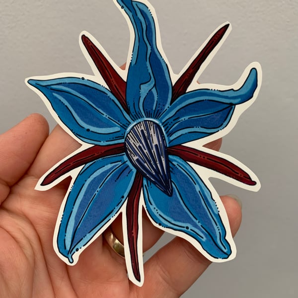 Stickers. Borage flower.Handmade. Vinyl. 