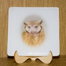 Owl - Fused Glass Coaster - 9305