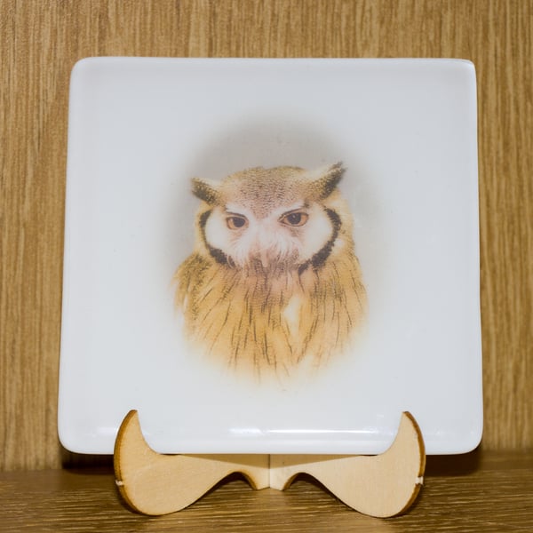 Owl - Fused Glass Coaster - 9305