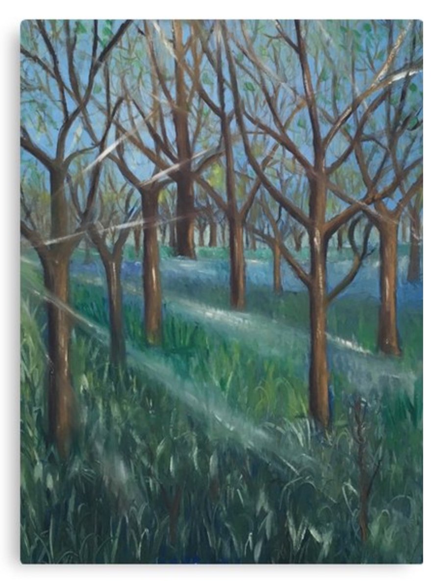Canvas Print Taken From The Original Painting ‘Inspiration In The Bluebell Wood’