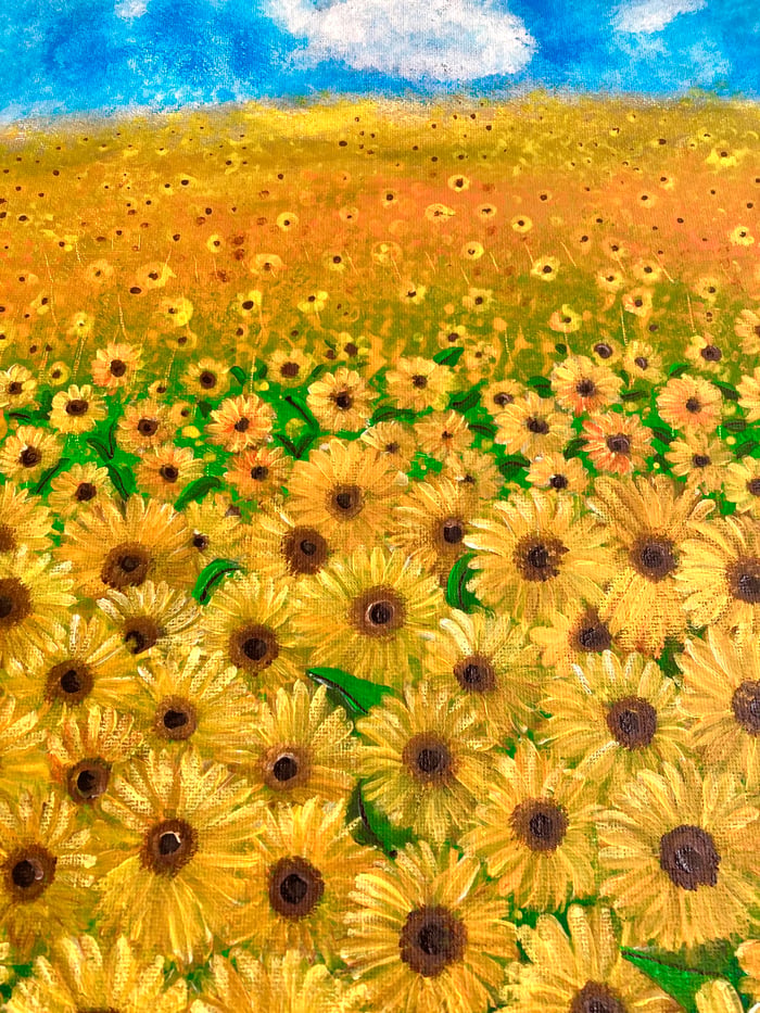 Gabymoo Sunflowers