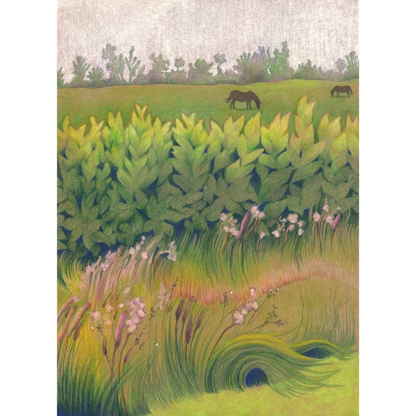 Horses in Dorset Fields, Giclee Art Print - Landscape art, miniature Horses