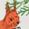 Red Squirrel Greetings Card