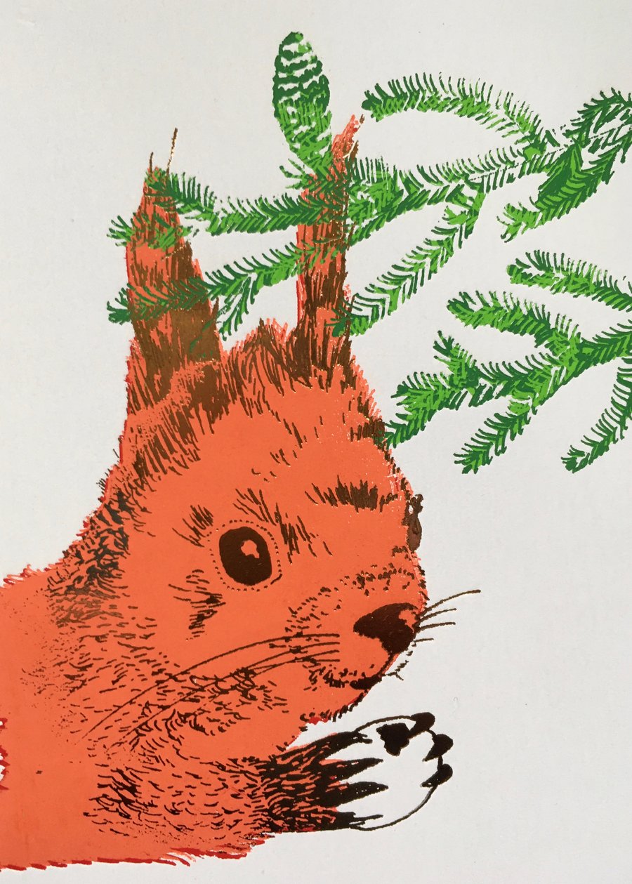 Red Squirrel Greetings Card