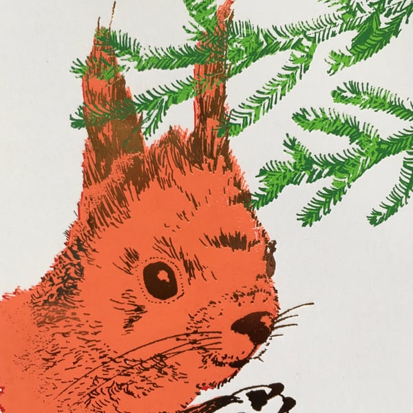 Red Squirrel Greetings Card