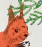 Red Squirrel Greetings Card