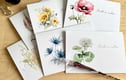 Greeting Cards and Stationery