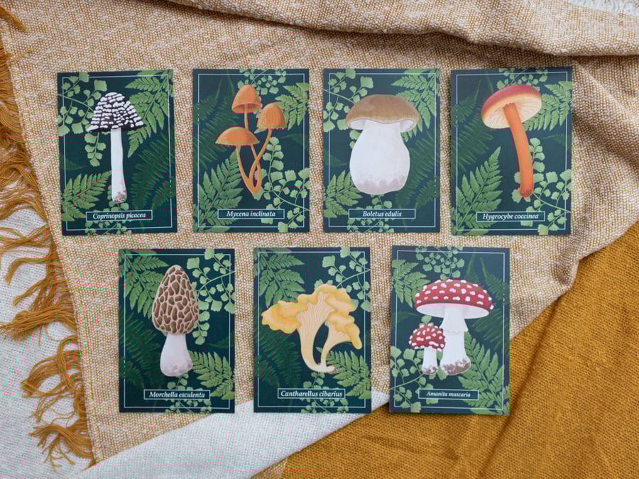 Postcard Set of 7 Mushrooms