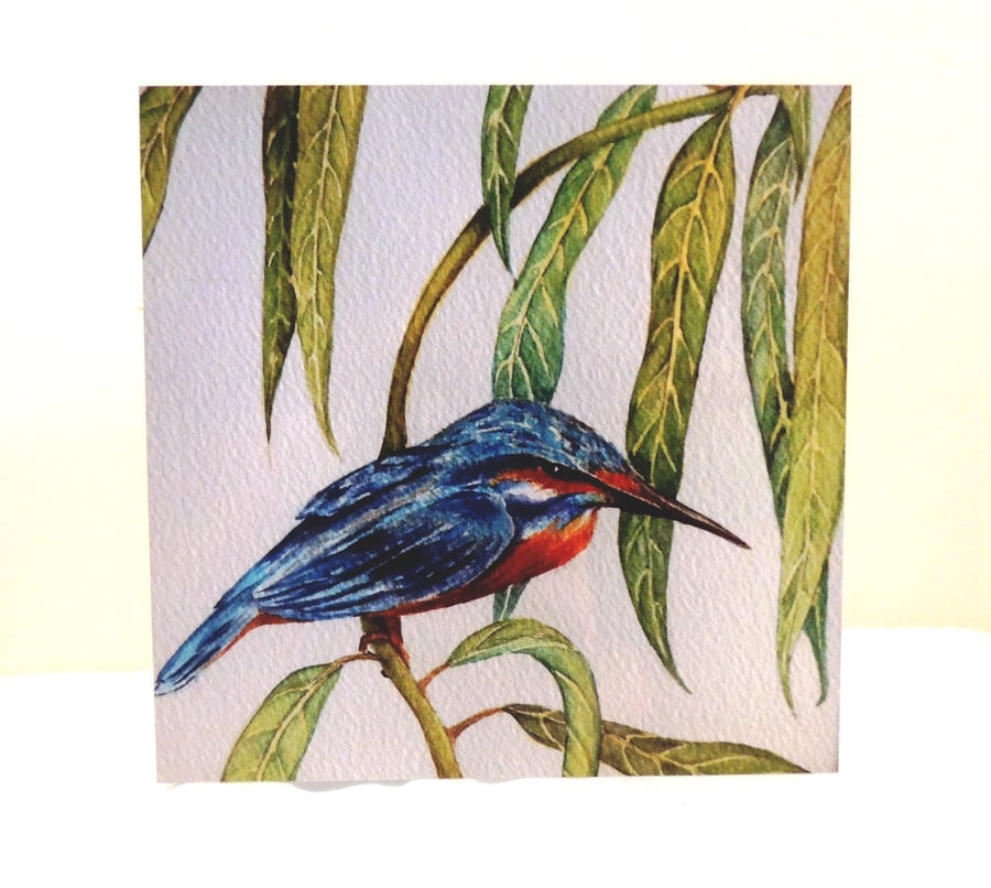  Kingfisher Bird Greeting Card from Original Watercolour Painting