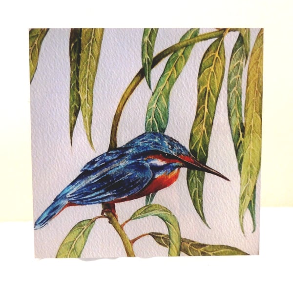  Kingfisher Bird Greeting Card from Original Watercolour Painting