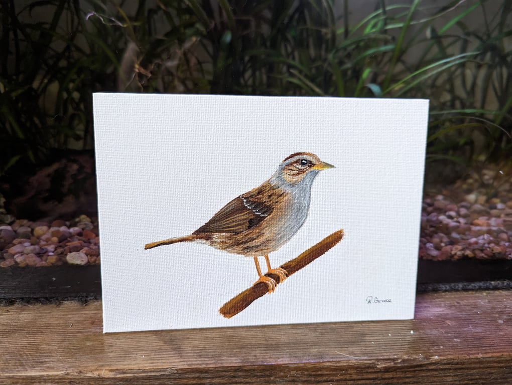 Dunnock Bird Painting (with hanger)