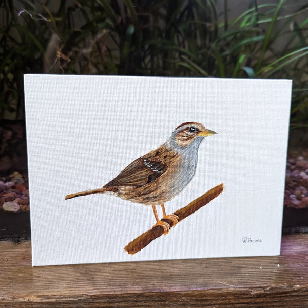 Dunnock Bird Painting