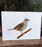 Dunnock Bird Acrylic Painting - Image 1
