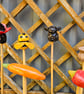 Cane Tops - Image 4