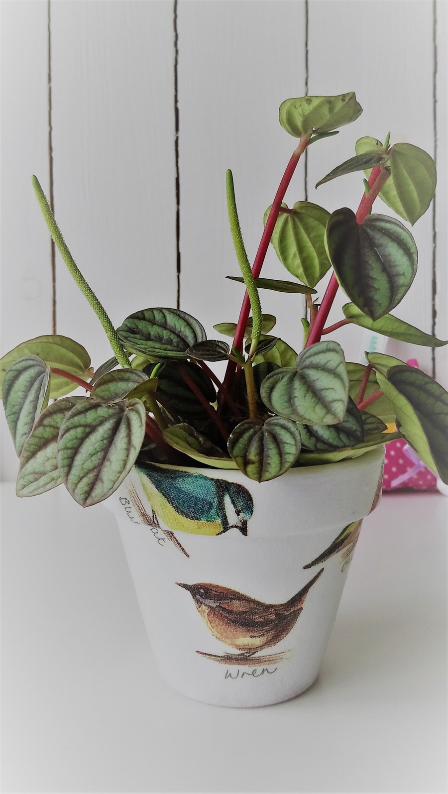 Decoupaged Bird Design Indoor Terracotta Pot