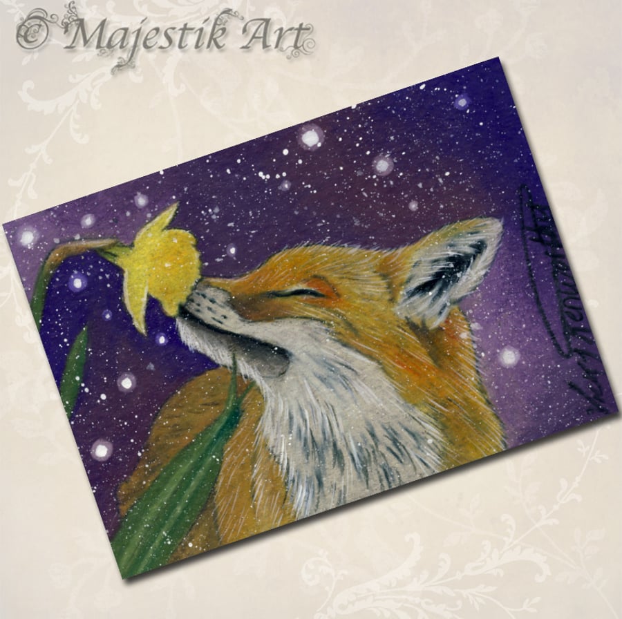 Archival ACEO Fox 'Daffodil' By V Kenworthy