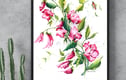 Art Prints