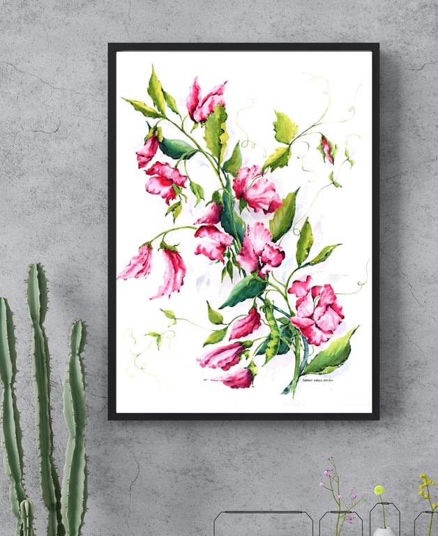 Pink Sweet Peas - Watercolour Floral Botanical Art Print Unframed