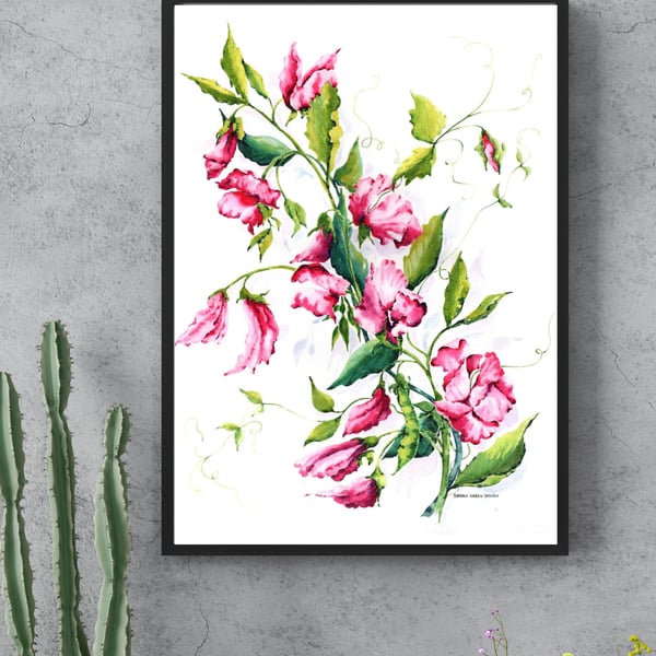 Pink Sweet Peas - Watercolour Floral Botanical Art Print Unframed