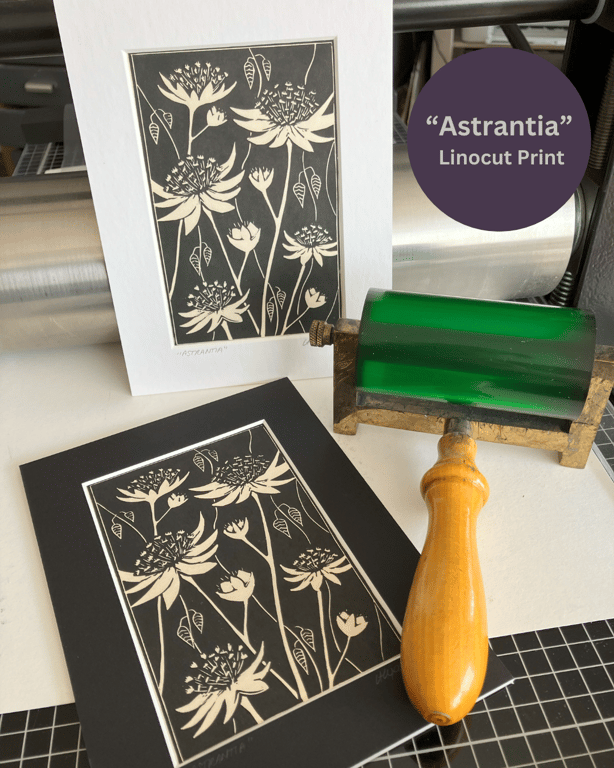 Linocut Print - Astrantia - Hand Printed - Flower Print