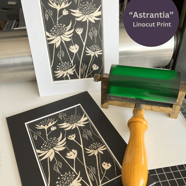 Linocut Print - Astrantia - Hand Printed - Flower Print