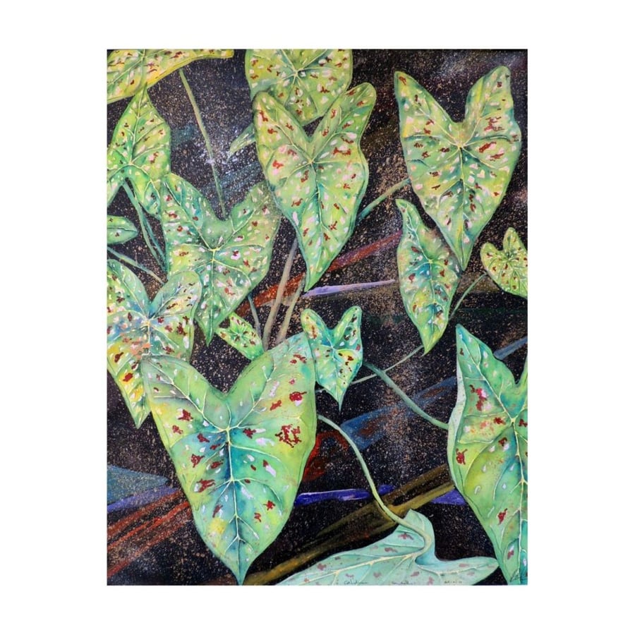 Green Caladium Leaves Tropical Plant  Botanical Watercolour Original Painting