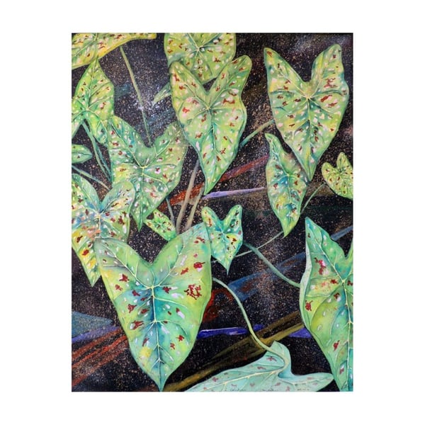 Green Caladium Leaves Original Watercolour ,Botanical  Fine Art