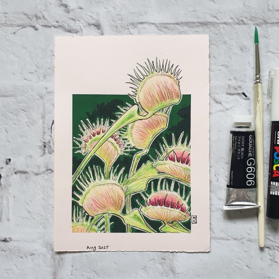 Venus flytrap plant drawing, small original artwork, wall art