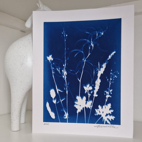 Cyanotype Botanical Print No. 9