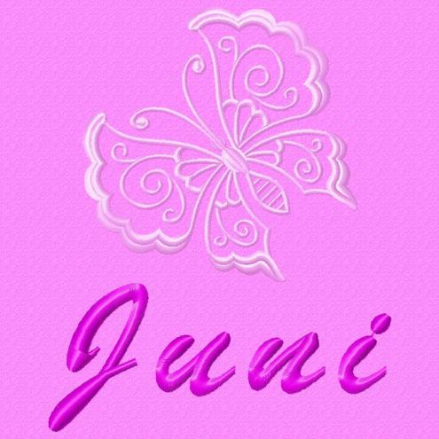 Custom PE Bag for Neelam