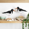 Oystercatcher 