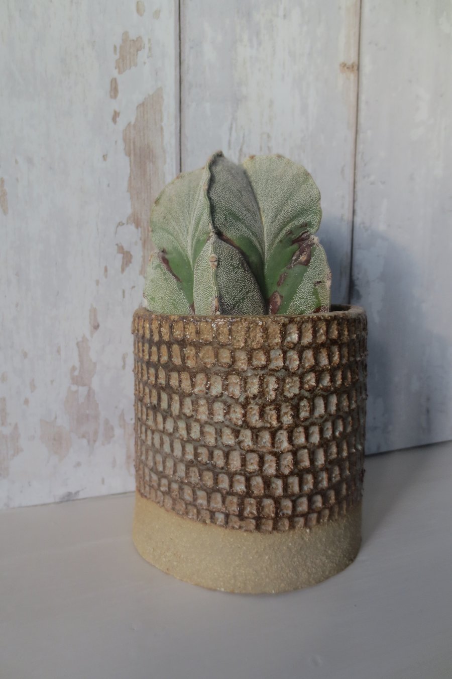 Hand-built stoneware pottery textured plant pot in brown
