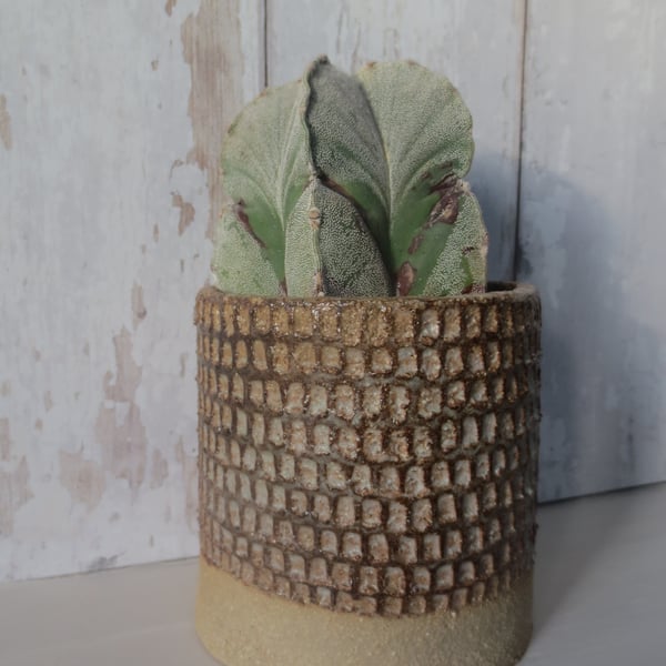 Hand-built stoneware pottery textured plant pot in brown