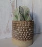 Hand-built stoneware pottery textured plant pot in brown