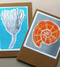 Orange Ammonite Card - Image 3
