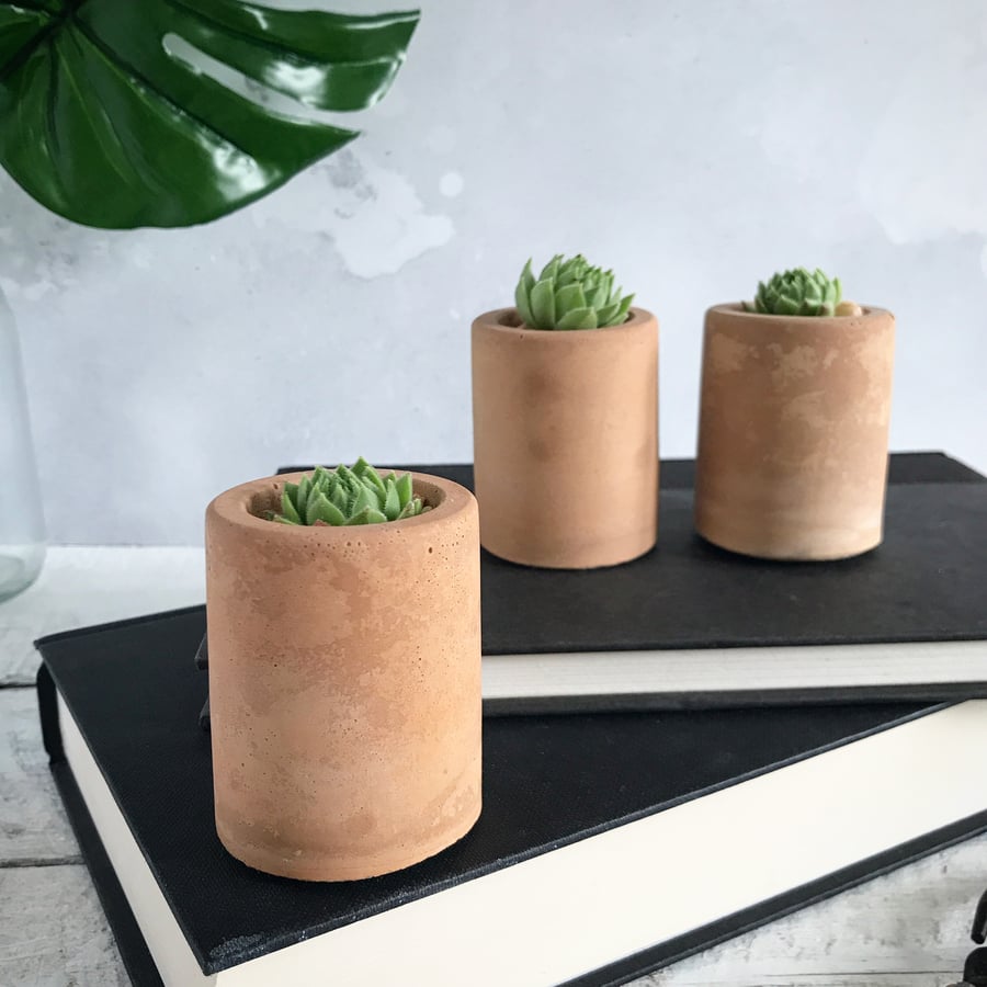 Concrete succulent planter trio - Terracotta 
