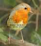 Exclusive Handmade Garden Robin Greetings Card on Archive Photo Paper - Image 2