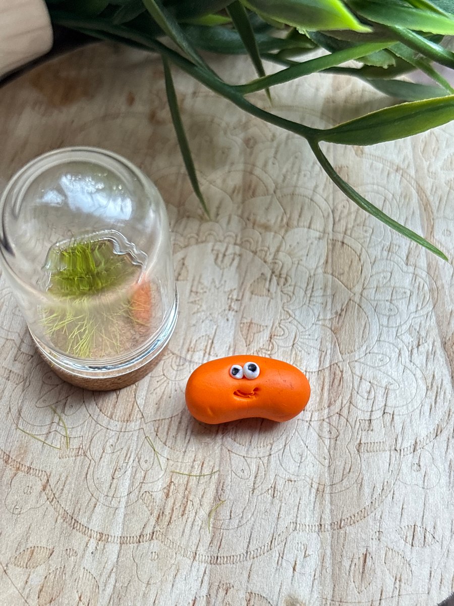  Beans Gift, Baked Beans Lover,  Beans Comedy Novelty, Cute 