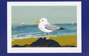 Digital artwork - Birds and animals