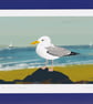Gull on the beach - A5 - seagull -  bird art print - coastal birds - Image 1