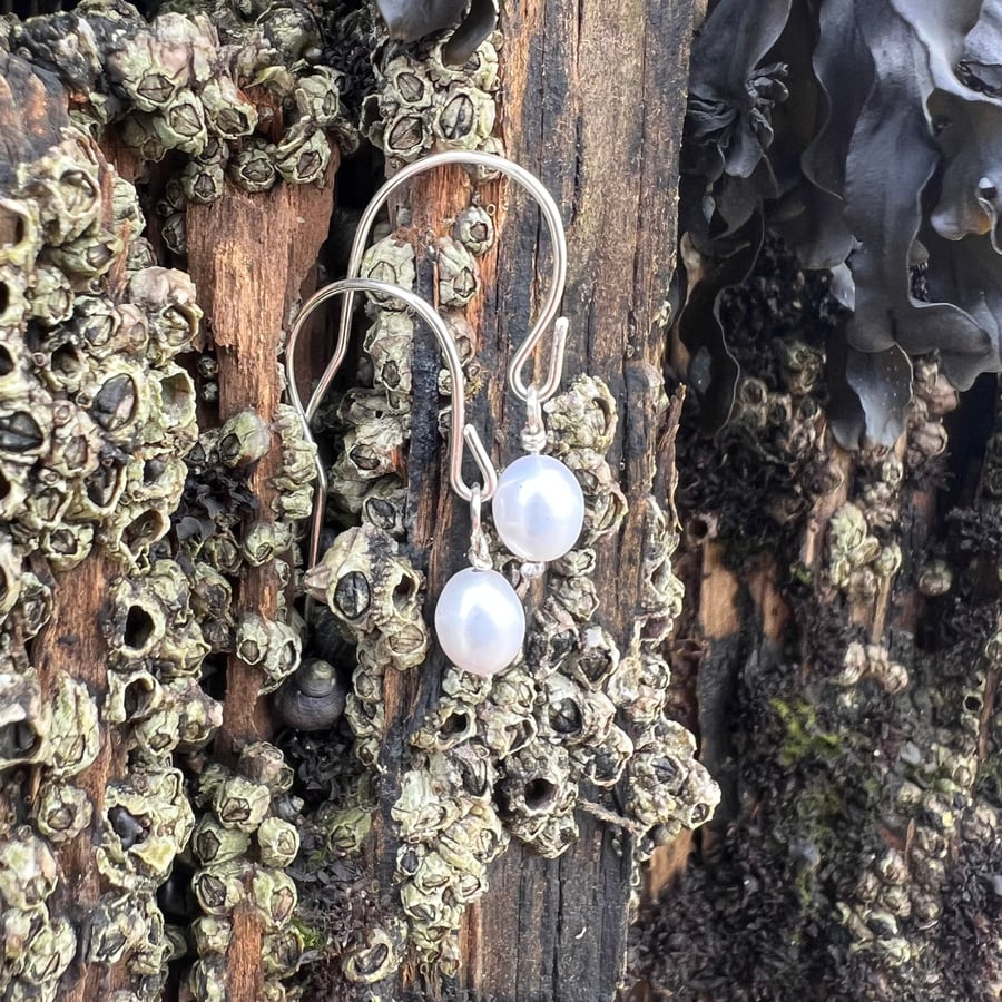   Small Freshwater Pearl Earrings