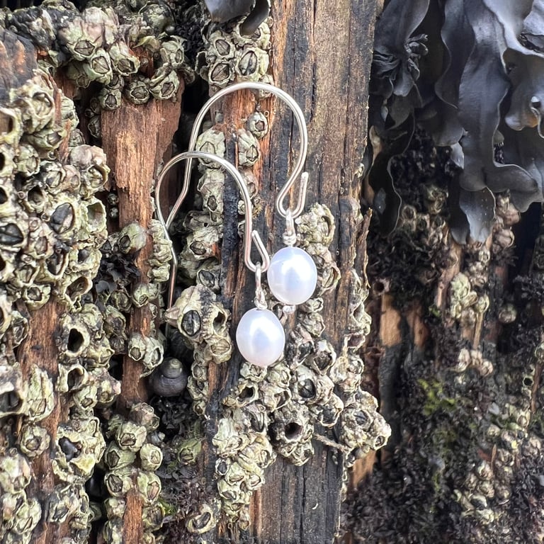   Small Freshwater Pearl Earrings